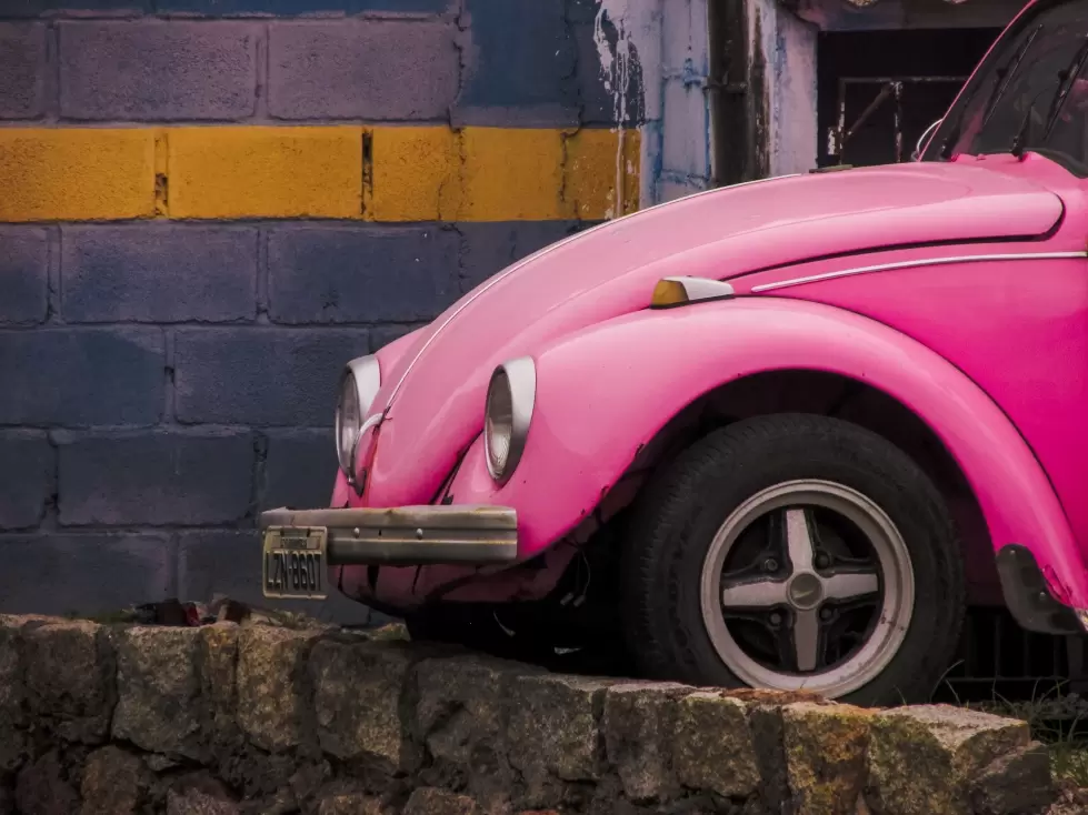 Florianópolis recebe mostra gratuita em homenagem ao Dia do Fotógrafo