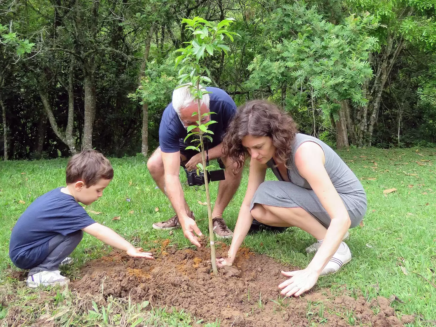 No Sítio Pedras Rollantes, visitantes são convidados a plantar mudas  