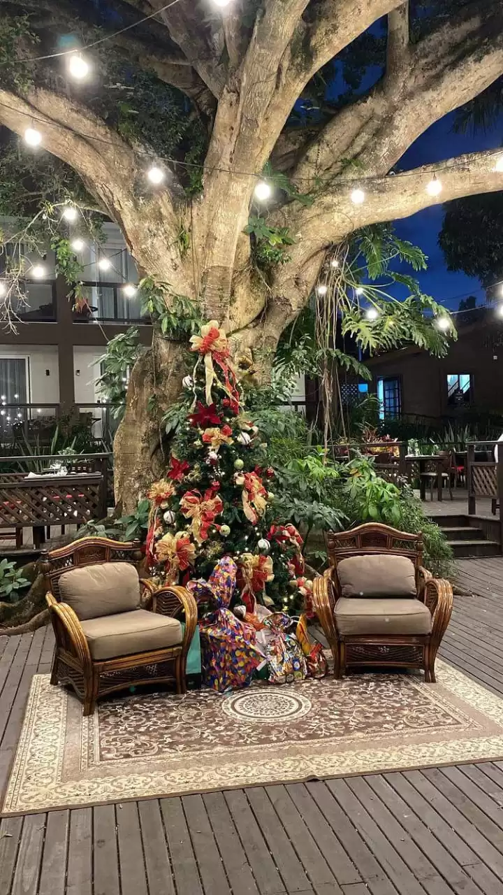 Noite de Natal na Guest House terá ceia, Papai Noel e muita emoção