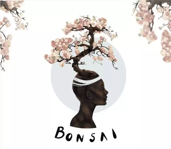 Projeto Cidades Invisíveis inaugura incubadora Bonsai Monte Cristo na próxima quinta-feira