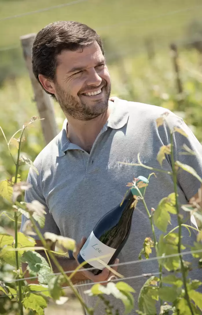 Vino realiza degustação com premiados vinhos do Alentejo